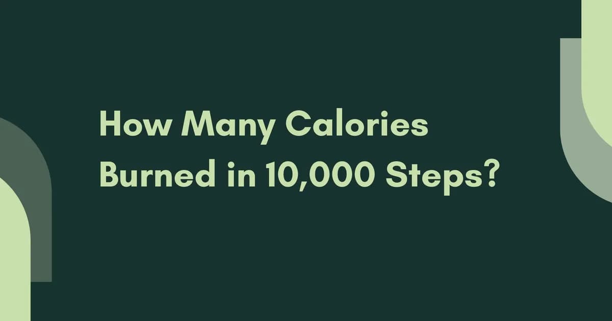 How Many Calories Burned in 10,000 Steps? A Walkthrough