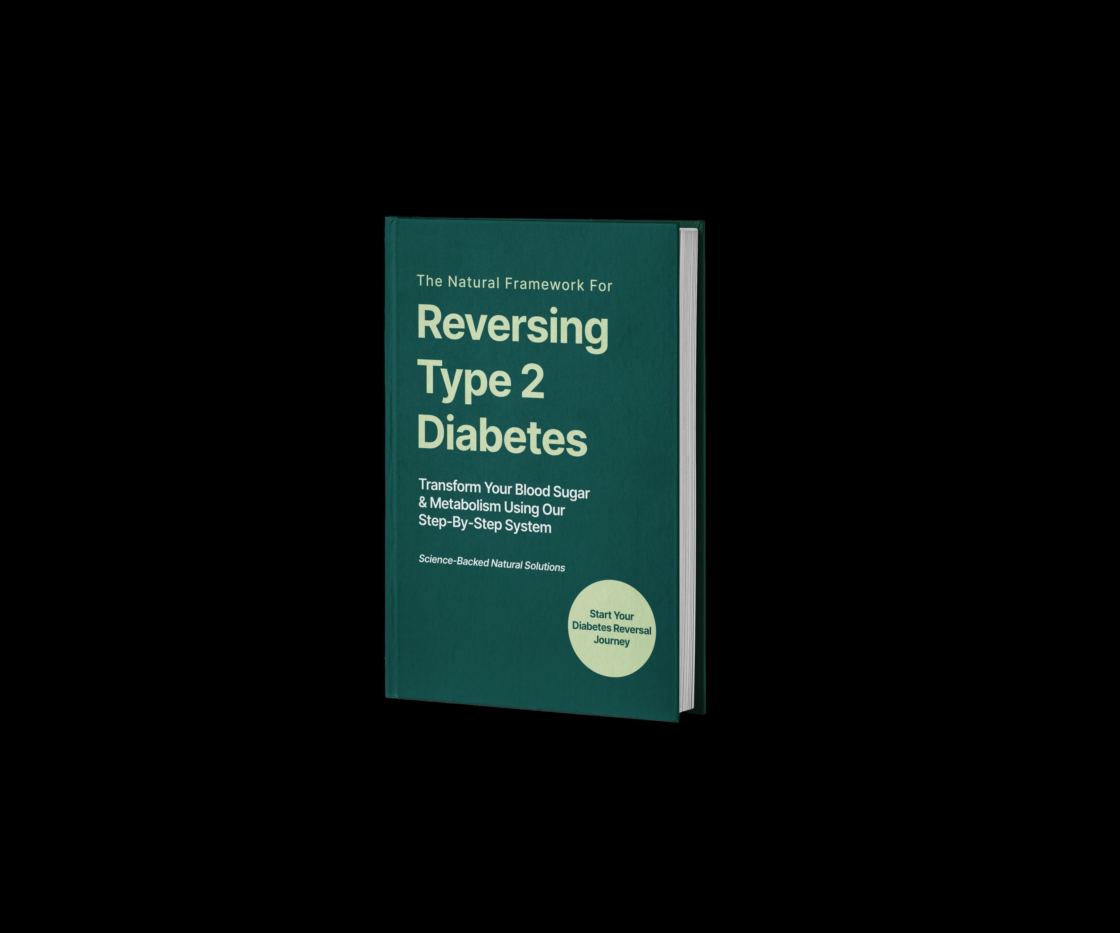 Type 2 Diabetes Management Guide